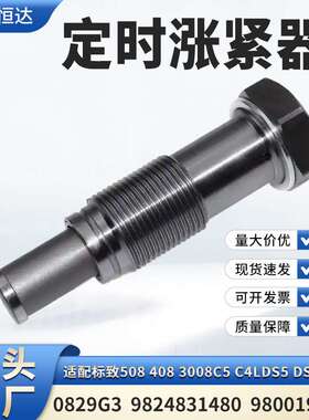 适用标致508 4083008 C5定时涨紧器0829G3 9824831480 9800195780