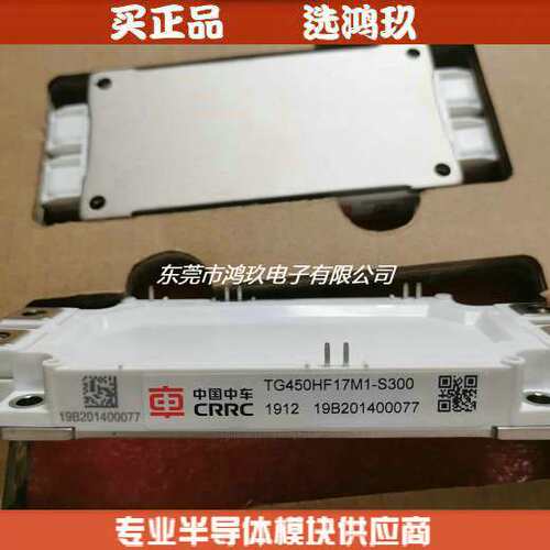 国产IGBT TG450HF17M1-S300  TG600HF12M1-S300