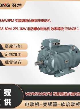 WEPMA5-80M-2P1.1KW 非防爆永磁电机 效率等级 IE5&GB 1 级