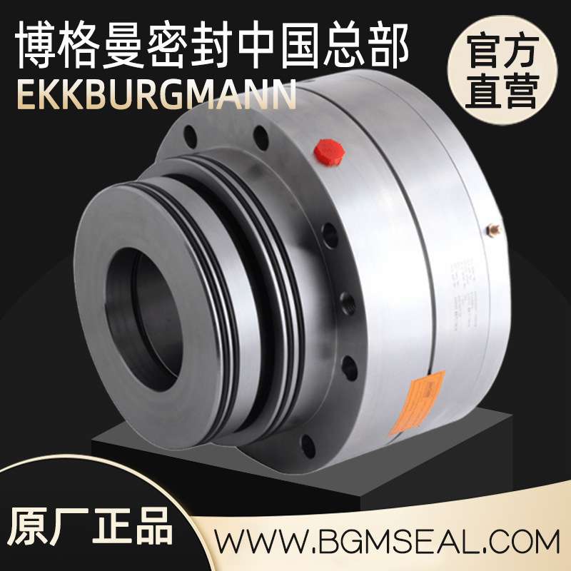 AEB-60武汉博格曼AEB-80火电厂2VSF莱宁侧搅拌器机械密封组件1VS