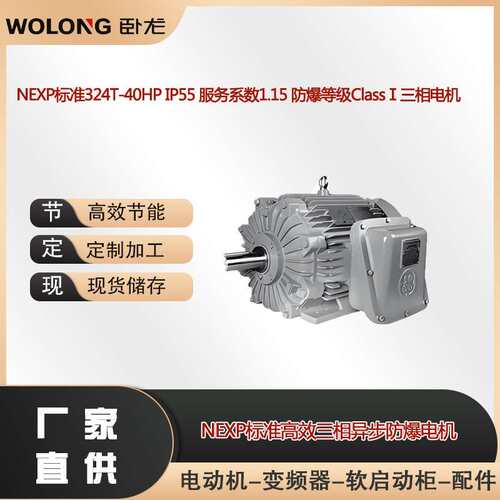 NEXP标准324T-40HP IP55 服务系数1.15 防爆等级ClassⅠ三相电机