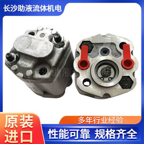 Marzocchi微型齿轮泵动力单元泵动力单元齿轮泵K1P R 2 X G