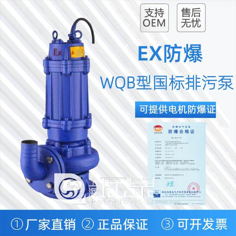 WQB/QWB防爆型污水泵EX防爆水泵380V 加油站潜水排污泵4KW防爆泵