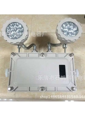 GCD803-YJ-6W双头防爆应急灯  BCJ-2*3W YZ40EA-1
