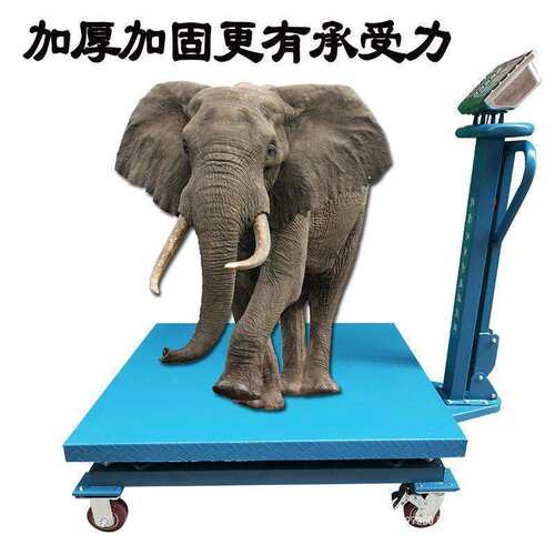 带轮子电子秤商用600kg移动式工业称重电子手推车地磅秤1吨
