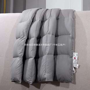 白鹅绒冬被加厚保暖羽绒被春秋被五星酒店被子芯学生宿舍白色灰色