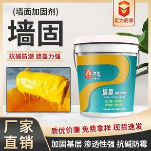 墙固地固墙面加固剂强固宝混凝土界面剂墙面固沙剂防潮抗碱封闭剂