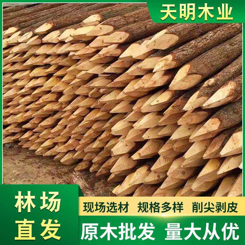 杉木桩落叶松木桩米园林绿化河道防汛打桩木松树圆木坡护堤