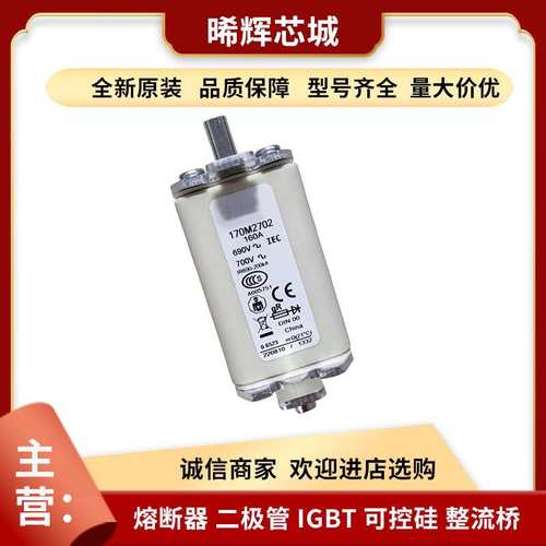 170M1318 170M1319 170M1320 直流快速熔断器电子元器件 库存充足