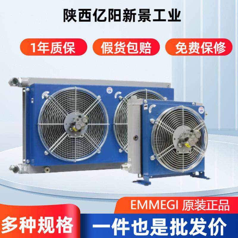 意大利 EMMEGI 2005K 230V 50HZ风机冷却器散热器 风冷油热交换器,鲜花速递/花卉仿真/绿植园艺,割草机/草坪机,淘宝优惠券,粉丝福利购,淘宝优惠卷