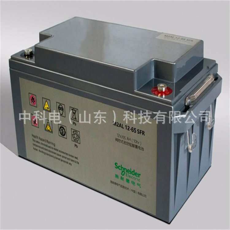 APC施耐M2AL12-65CFR 免维护密封铅酸蓄电池12V65Ah蓄电池原厂