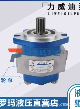 QC13/12-D10WX合肥力威液压3407020-155-CS2A客汽车 动力泵转向泵