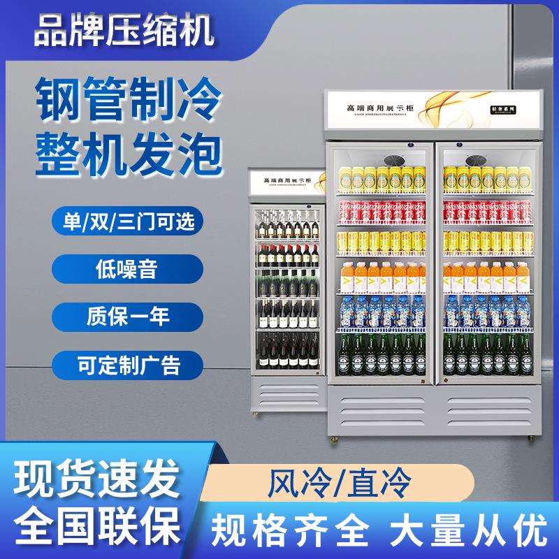 啤酒柜展示柜商用冷饮柜超市酒吧保鲜柜饮料冰柜冷藏单双门展示柜