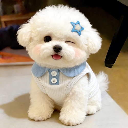 狗狗衣服薄款透气polo衬衫猫咪