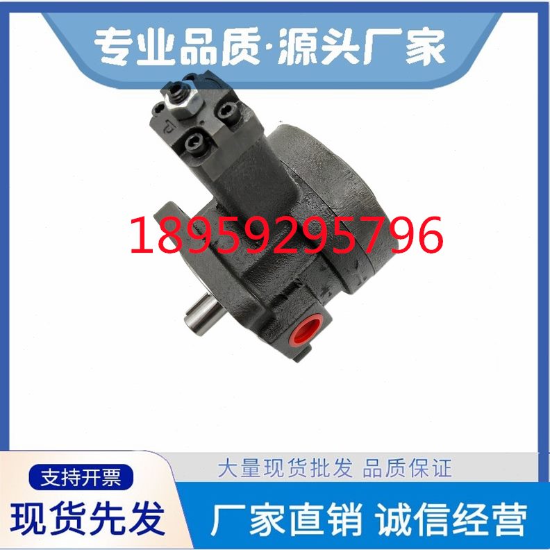 /20-1海V-30/10叶片泵55/特TI-/H-E70-变12-8/量20PCH/克H35215VG