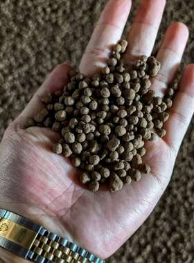 陶粒滤料 污水处理生物滤料3-5mm 微生物载体 BAF滤池用陶粒