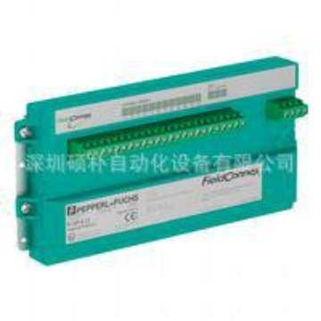 倍加福 R-SP-E12 机柜安装用管段保护器