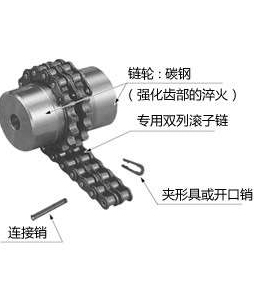 库存CR5018  链条联轴器 机械行业设备传动件联轴器链条联轴器
