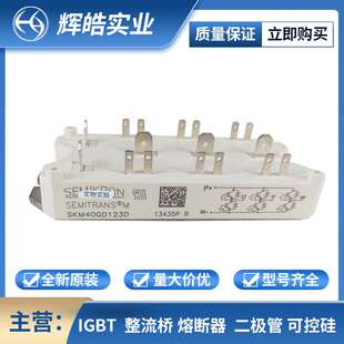 SKM40GD123D SKM50GB12T4  IGBT驱动电路 双向可控硅 电子元器件