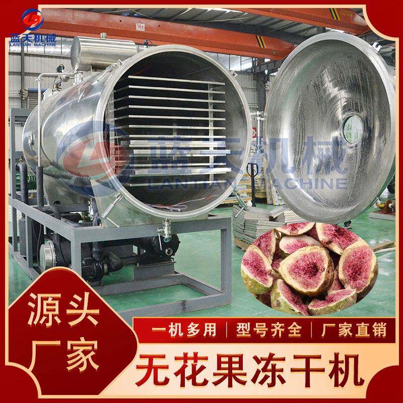 大型无花果冻干机全自动水果脆无花果干真空冷冻干燥机20平商用