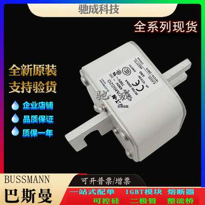巴斯曼170M6020 170M6021 170M6028 厂家直供 零售 高速熔断器