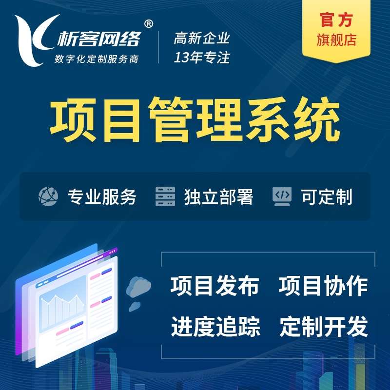 项目管理系统开发部门工作分配公司团队协作任务进度追踪平台搭建