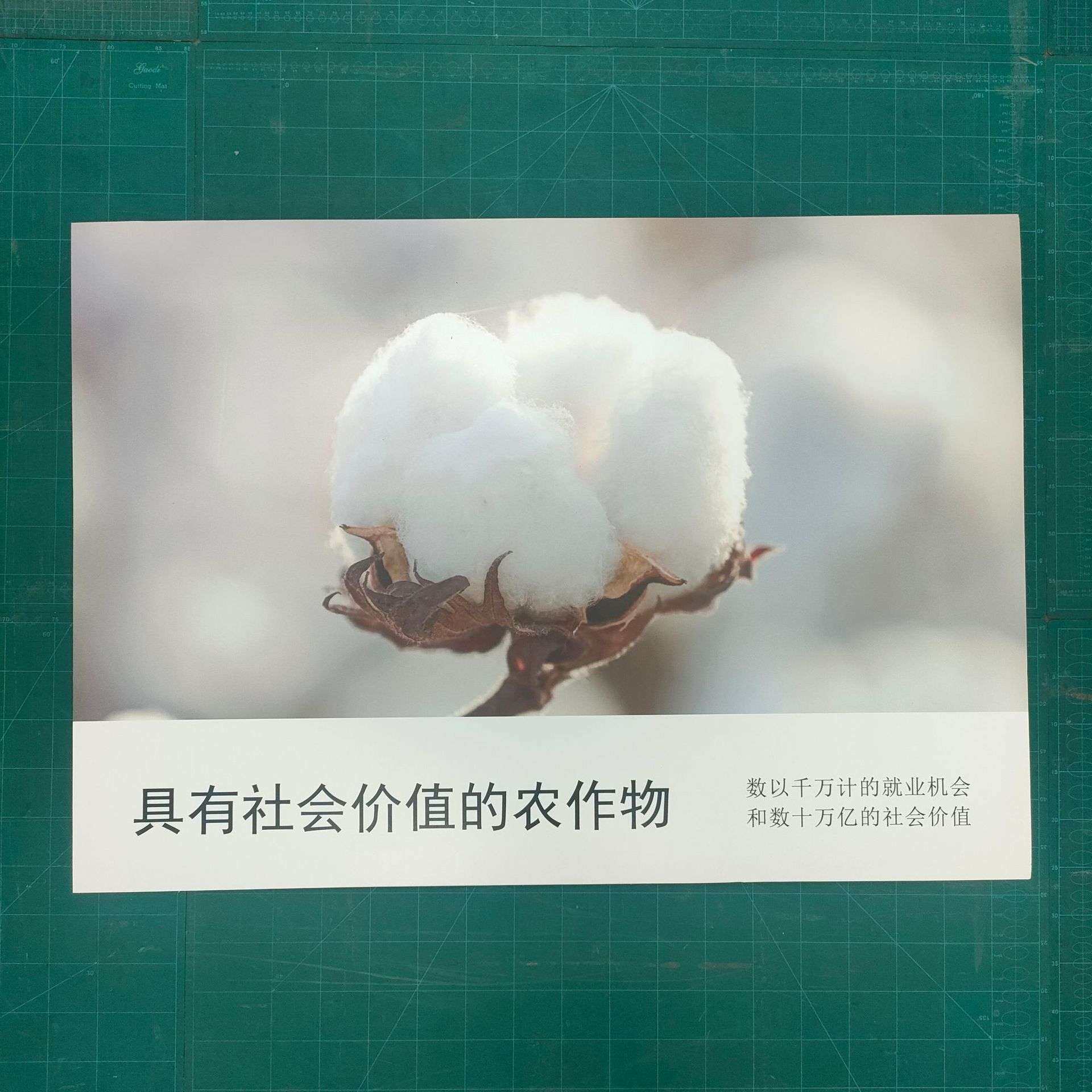 雪弗板源头厂家供应高密度pvc发泡板 家装雕刻 量产
