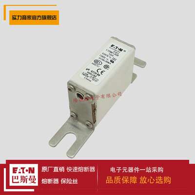 熔断器170M2683 170M2684 170M2685 170M1308 170M1309 170M1310