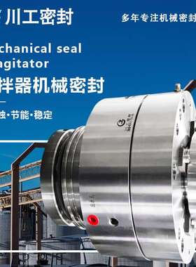 CFJ机械密封 CFJ418.5/230\116-45/116-45 外置式搅拌器机械密封