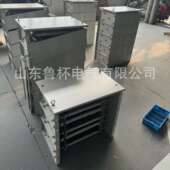 鲁杯RS54 机车接地制动电阻 6高压交直流滤波电阻器 280S