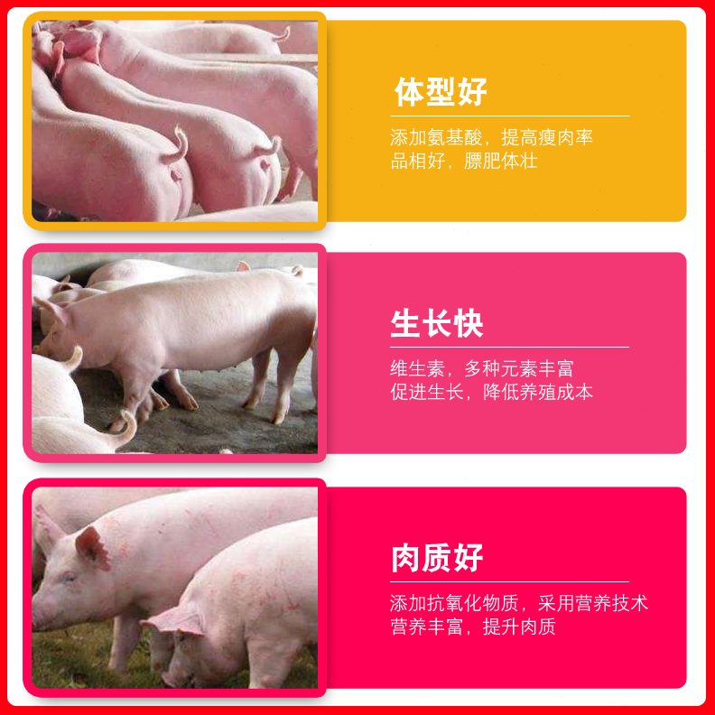 预混料用猪%大猪猪猪4猪饲料催饲料预混料大增重肥预混料育肥育肥