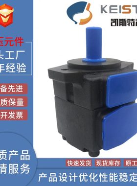 PPV2凯斯特2RP叶片泵21R22V2 IR12V2RKER  P 23 PV2ERPSTV2V2R113