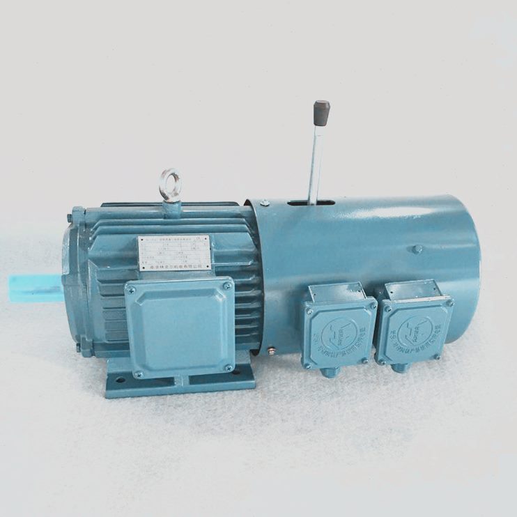特价相制异步F Y三VVV动P变频动速制极Y6变频0刹车电机电动机38调