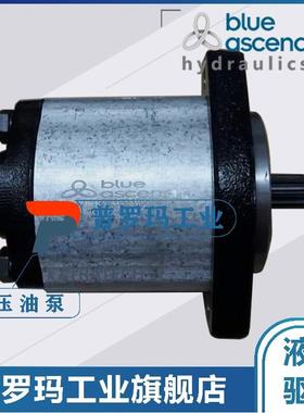 土耳其blue ascend泵AP20.160.CDC04SN CDF06SN CDH05SN CDA01SN