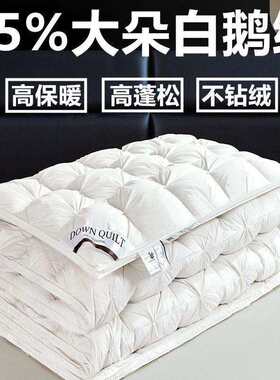 高档五星级酒店羽绒被95白鹅绒加厚保暖被子家用双人春秋被芯轻盈