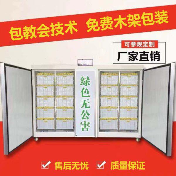 20生芽大型绿豆发机全自动0芽商用豆芽机