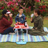 沾D游牛津布便携60草野餐垫户外不加厚垫户外防水防潮野炊地垫春0