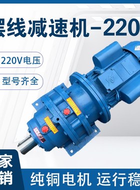 【单相电220v摆线针轮减速机】BWD卧式国标铜芯BLTD减速机电机一