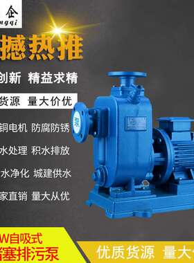 ZW直联式自吸污水泵 无堵塞自吸排污泵WZ系列自吸泵65ZW20-25-4KW