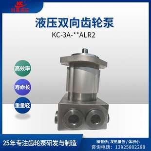 科昌KC JS1胶水齿轮泵点胶增压粘结泵高粘度PU聚氨酯计量泵精密泵