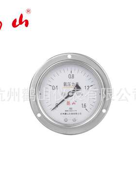 YA100BFZT氨用 不锈钢轴向带边压力表  轴向带边压力表 厂家直销