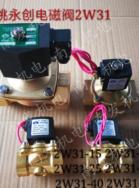 电磁阀 -1线圈 201550膜2W电磁阀 塑封3  401252W新余姚永创3片型