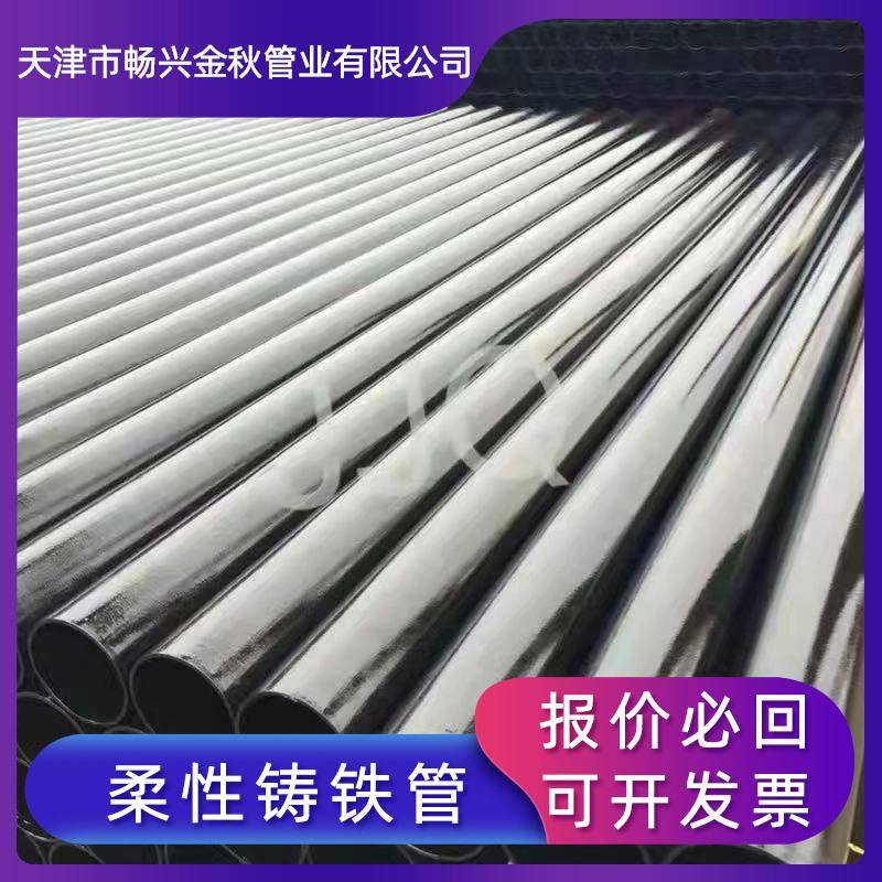 柔性铸铁排水管厂家现货