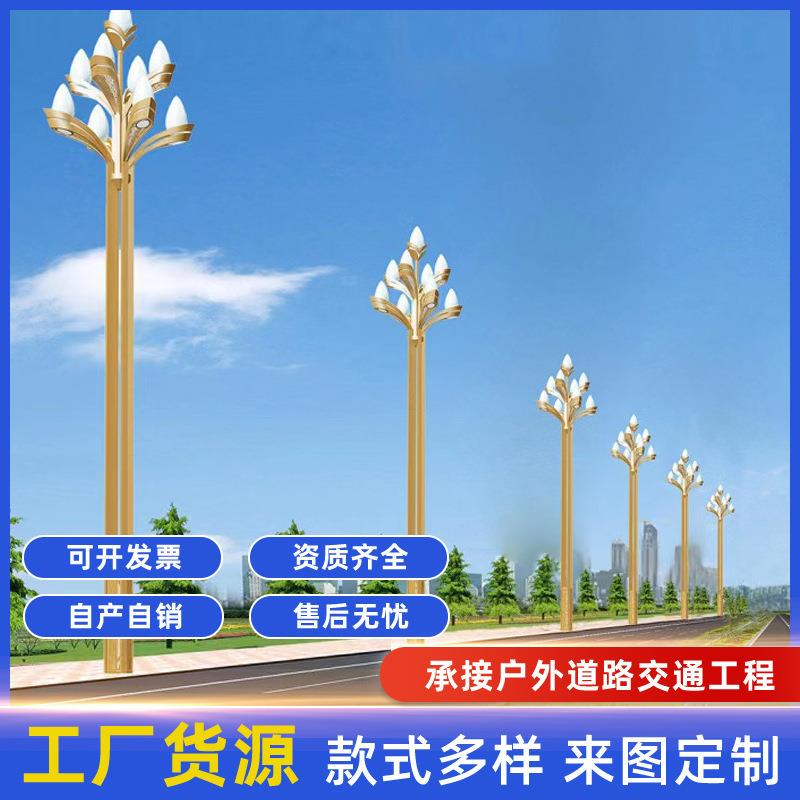 户外玉兰灯广场中华灯太阳能路灯庭院景观灯6米8米10米12米高杆灯