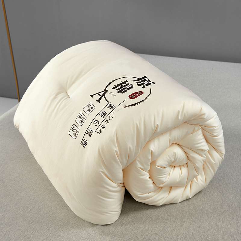 白色大豆纤维被芯被子单人双人夏凉被春秋被加厚保暖冬被四季通用