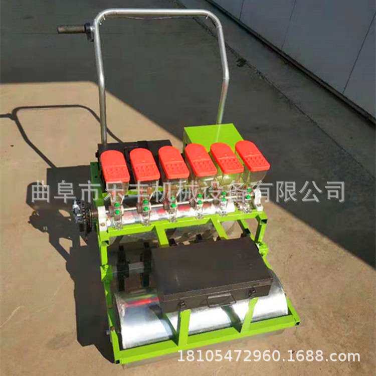 免间苗桔梗白菜播种厂家 蔬菜精量播种机 谷子播种施肥机视频