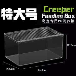亚克力蜥蜴爬宠守宫特大号饲养箱生态沙漠造景宠物蛇树栖角蛙