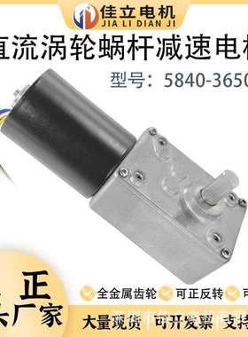 5840-3650微型直流涡轮蜗杆无刷减速电机大扭矩12v24v调速小马达