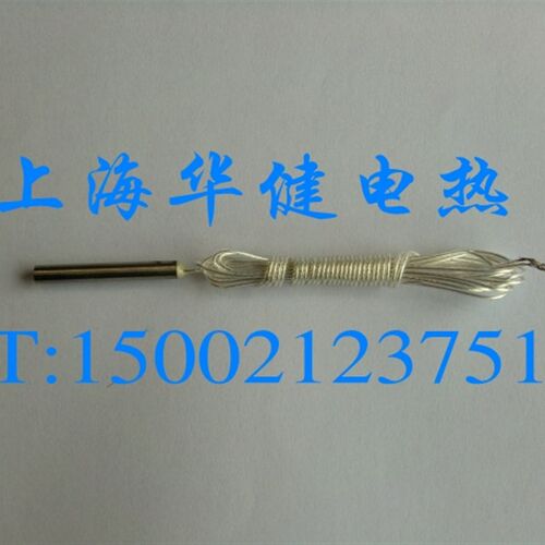 Pt100热电阻 铂电阻芯 温度传感器 探头4mm*30mm