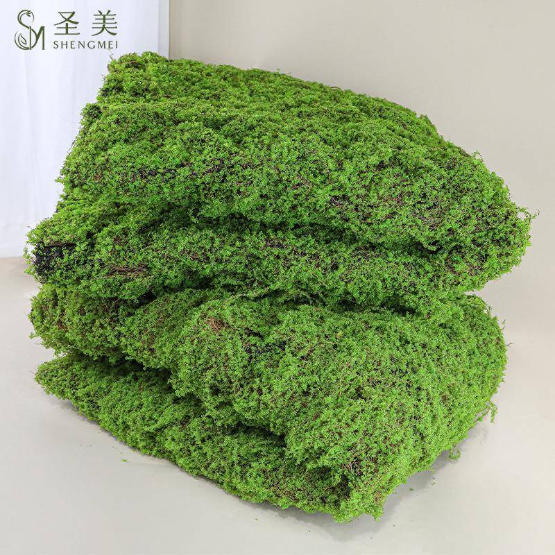 仿真苔藓草坪棕丝青苔草皮背景植物墙装饰绿植微景观植绒草皮绿植